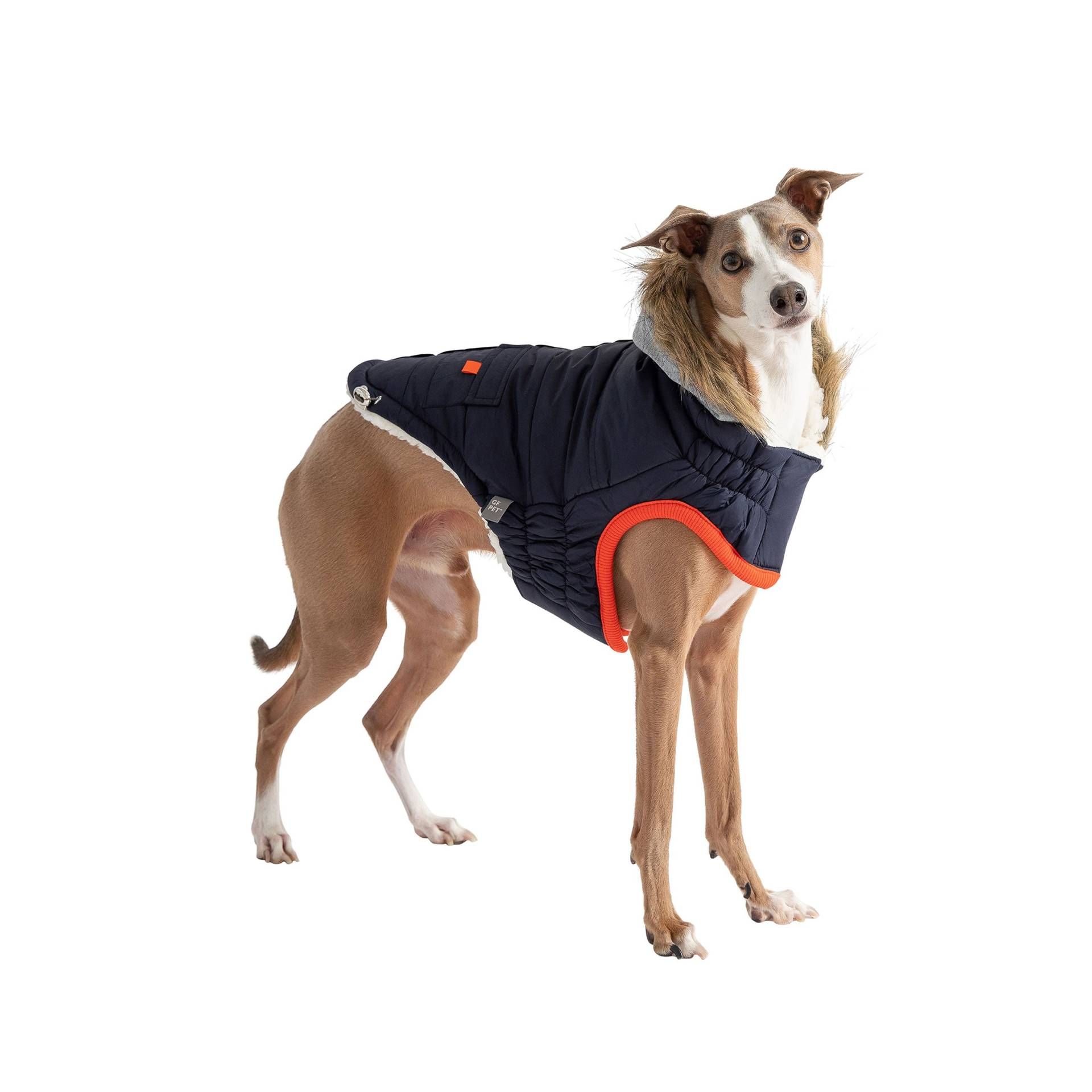 Cosy Pooch Winter Sailor Parka - Navy