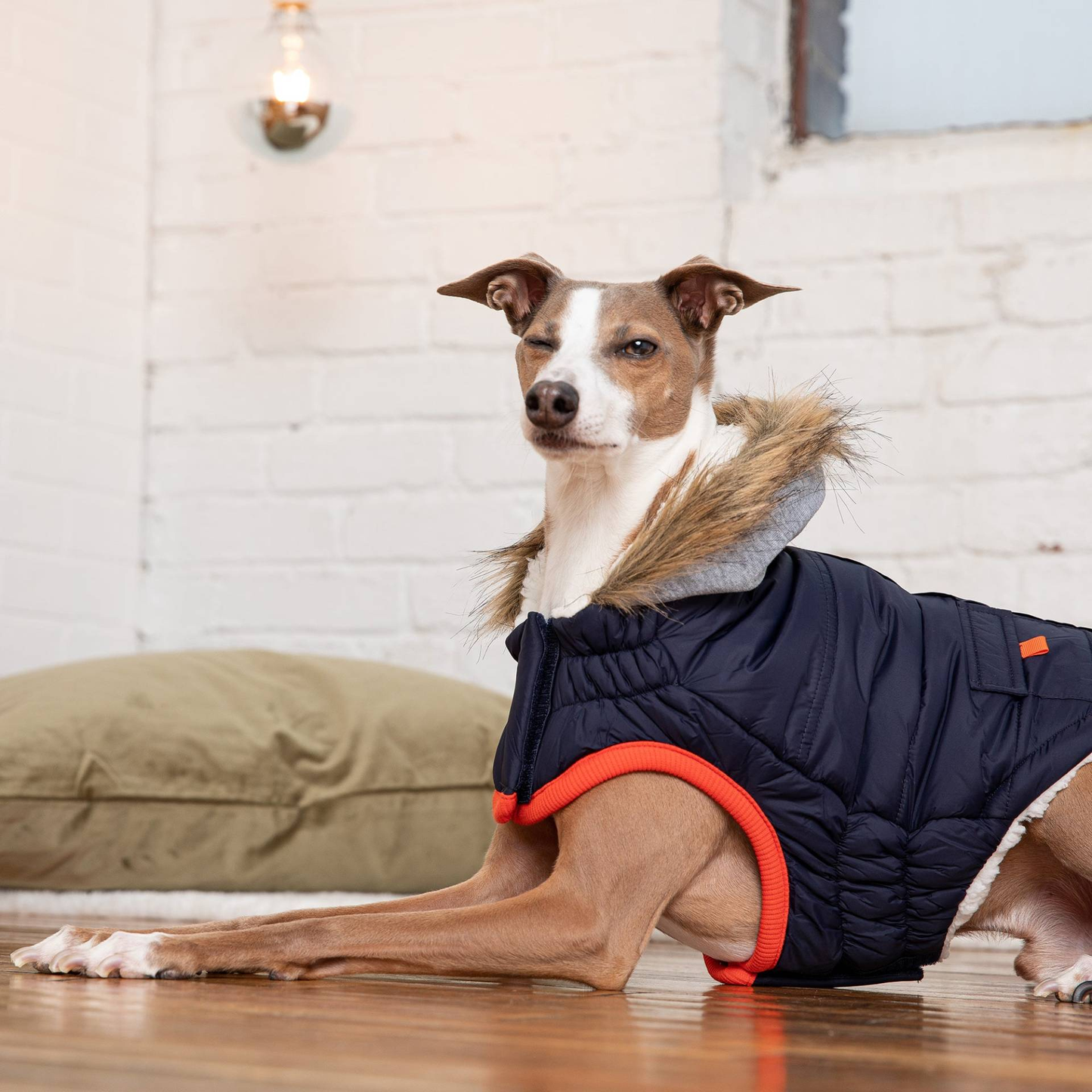 Cosy Pooch Winter Sailor Parka - Navy