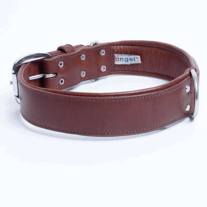  Dallas Leather dog Collar