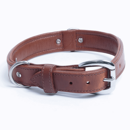  Dallas Leather dog Collar