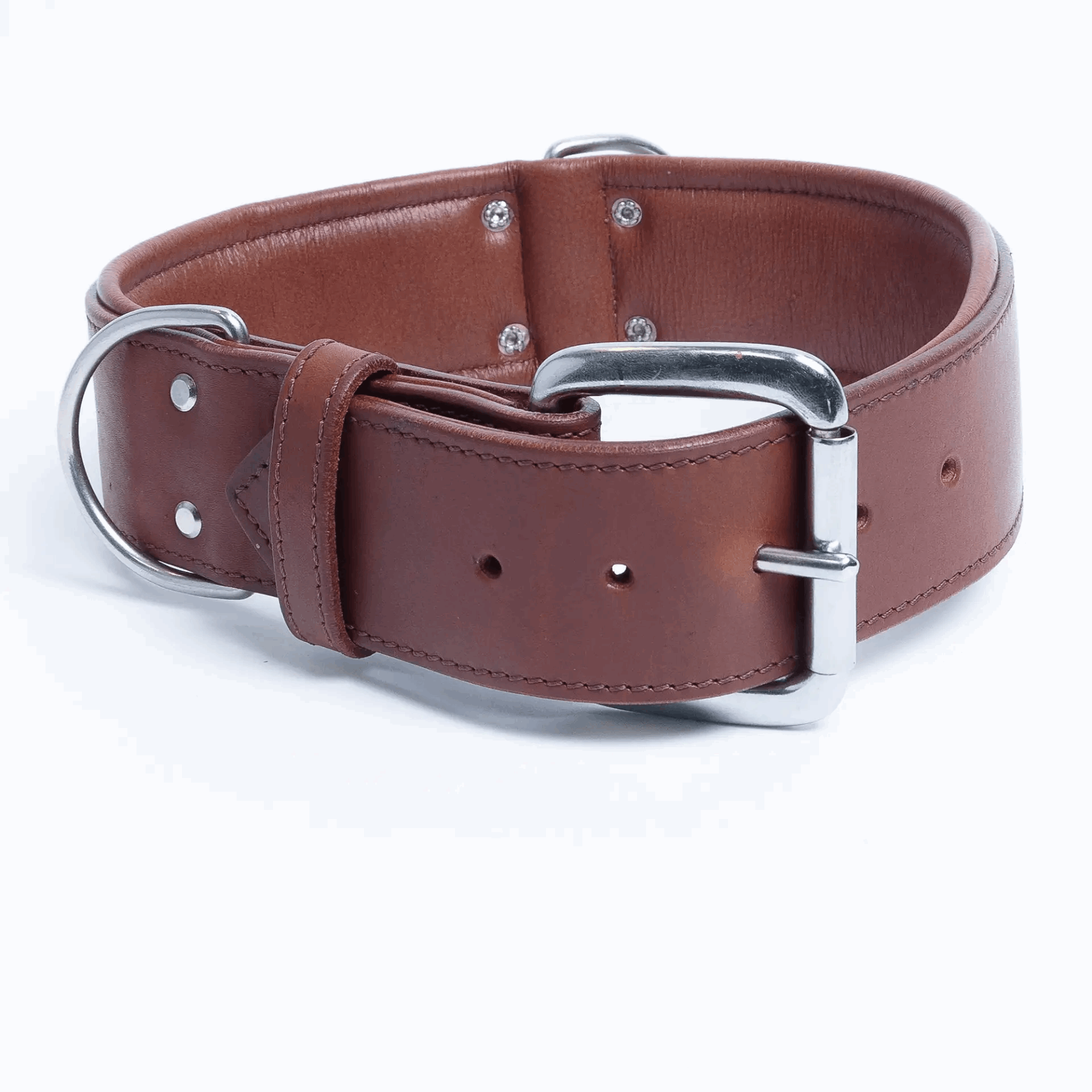  Dallas Leather dog Collar