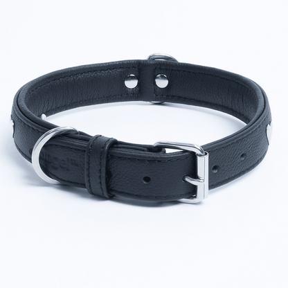  Rotterdam Hearts Leather dog collar