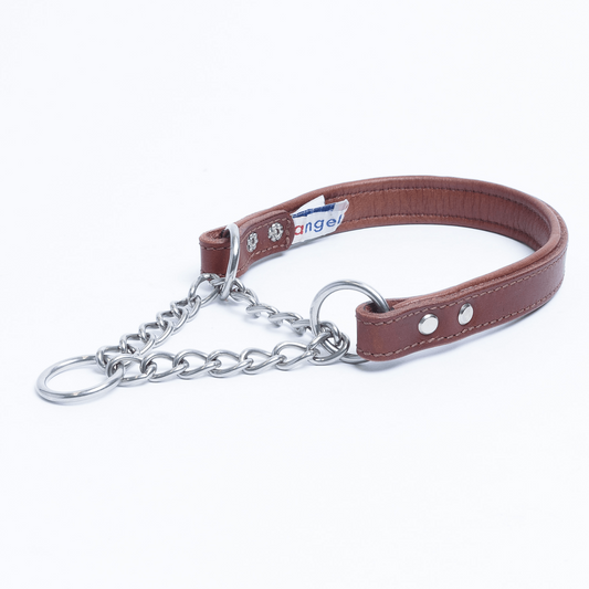 Martingale Collar for dogs