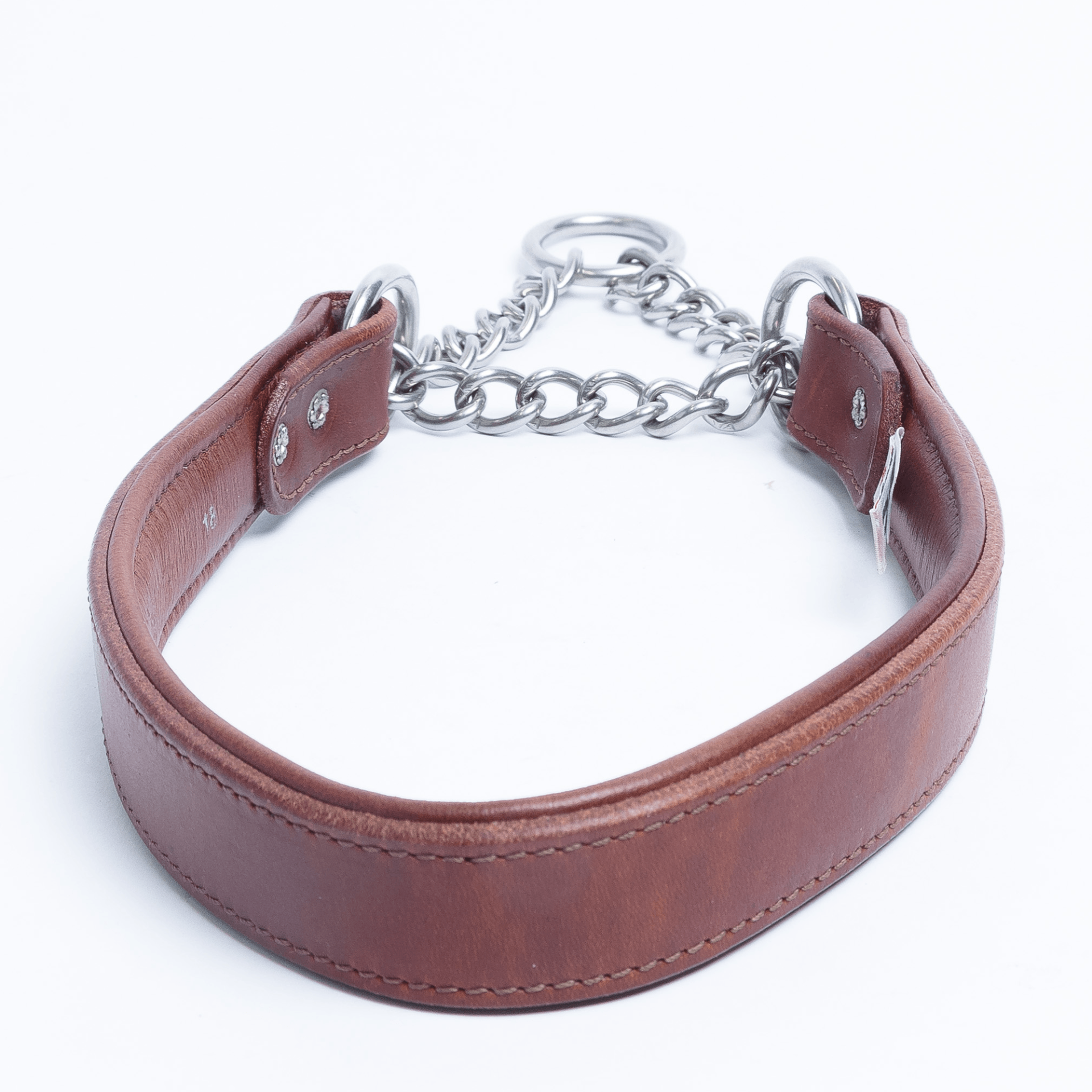 Martingale Collar for dogs