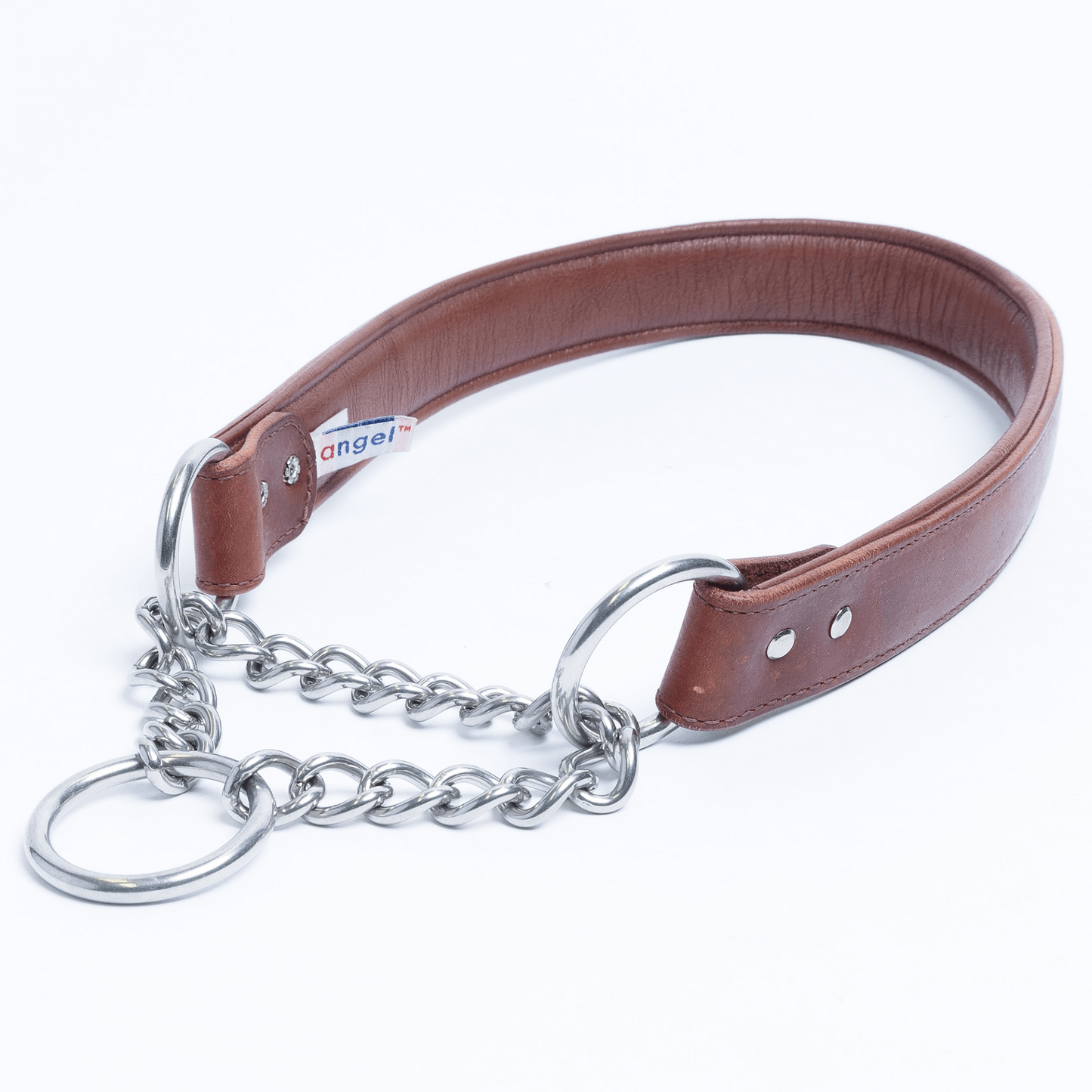 Martingale Collar for dogs