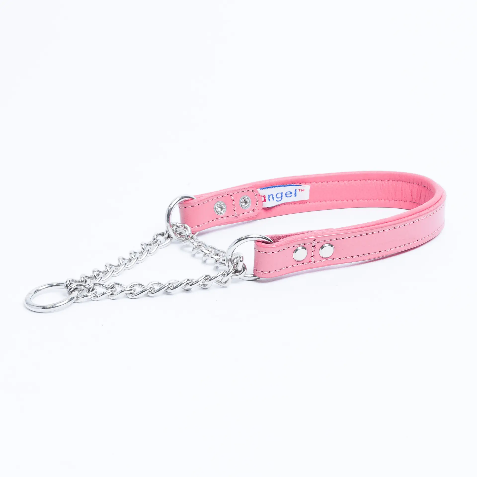 Martingale Collar for dogs