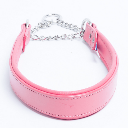 Martingale Collar for dogs