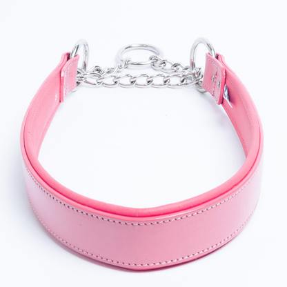 Martingale Collar for dogs