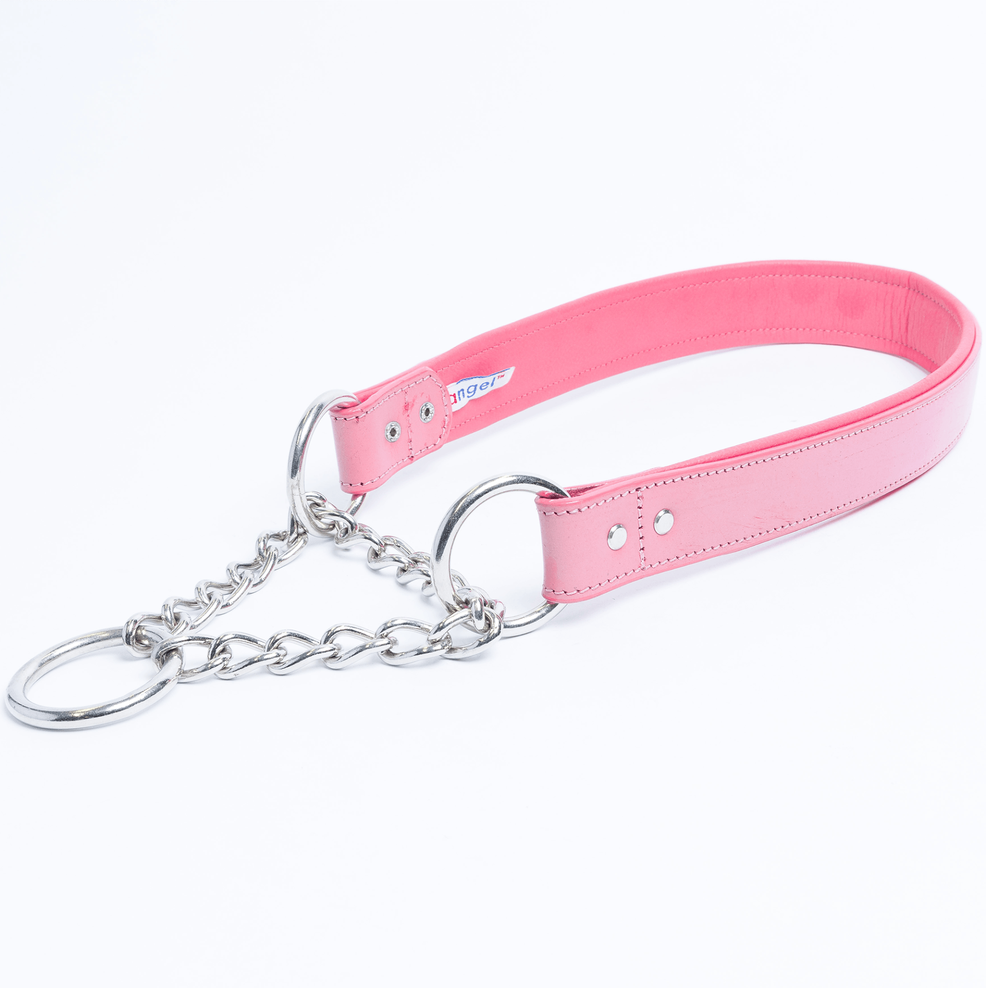 Martingale Collar for dogs