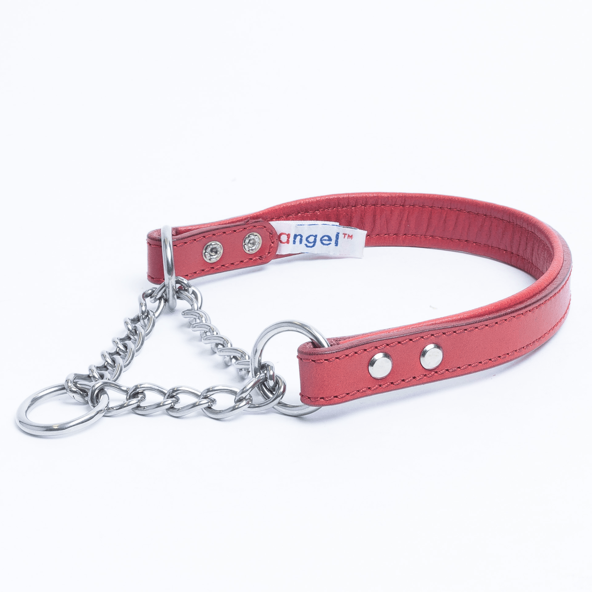 Martingale Collar for dogs