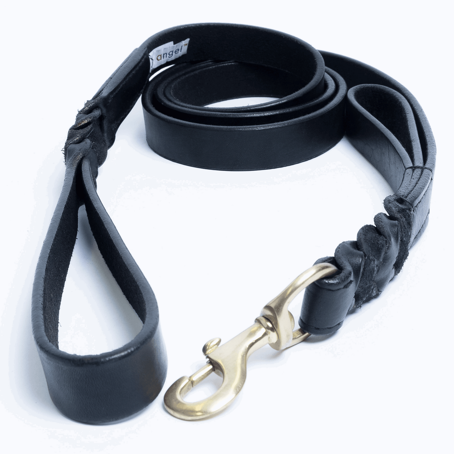 dog training leash