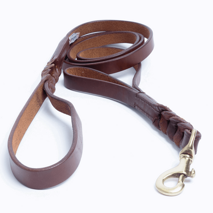 beautiful dog leash