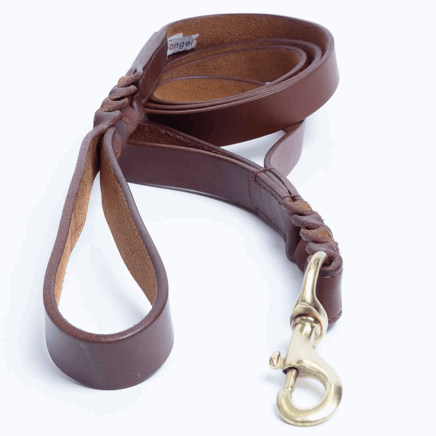 fashionable dog leash