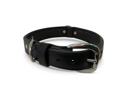 leather dog collar