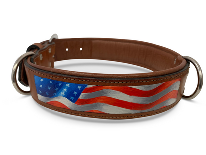 leather dog collar