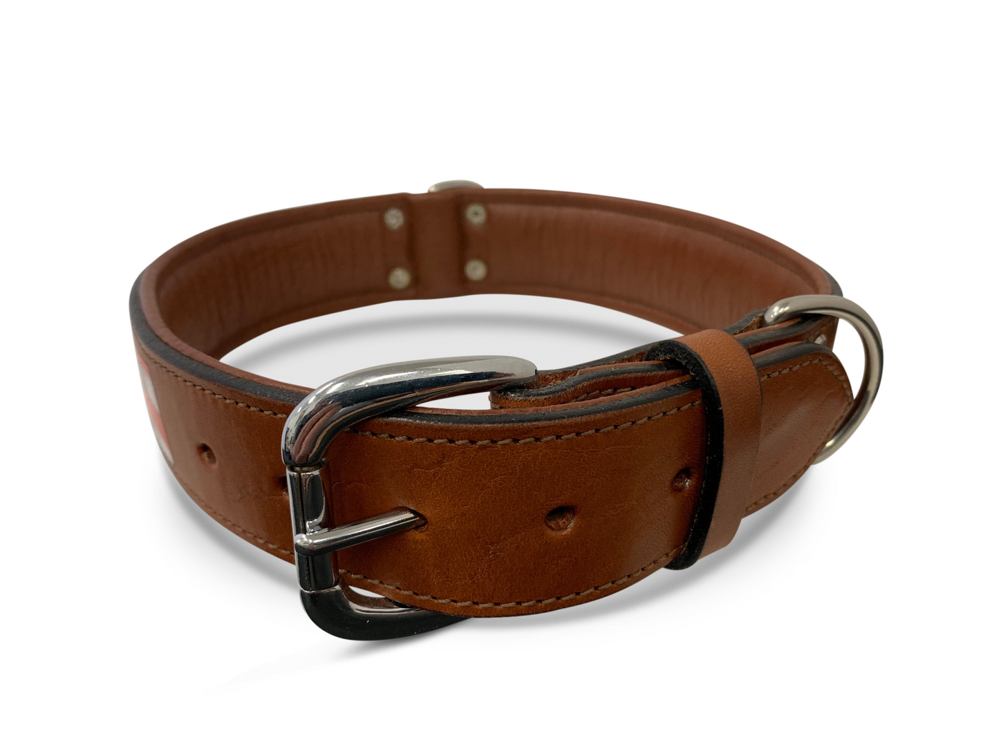 leather dog collar