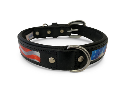 leather dog collar