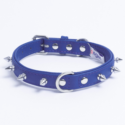 Spiked dog collar