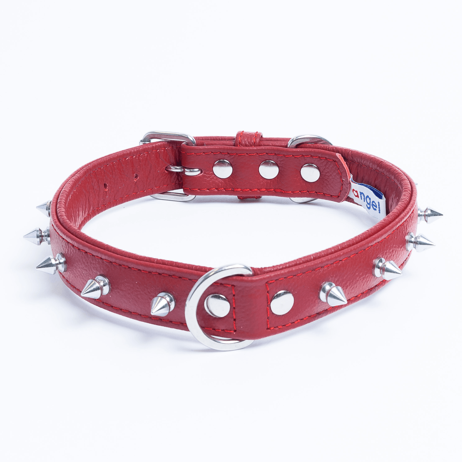 Spiked dog collar