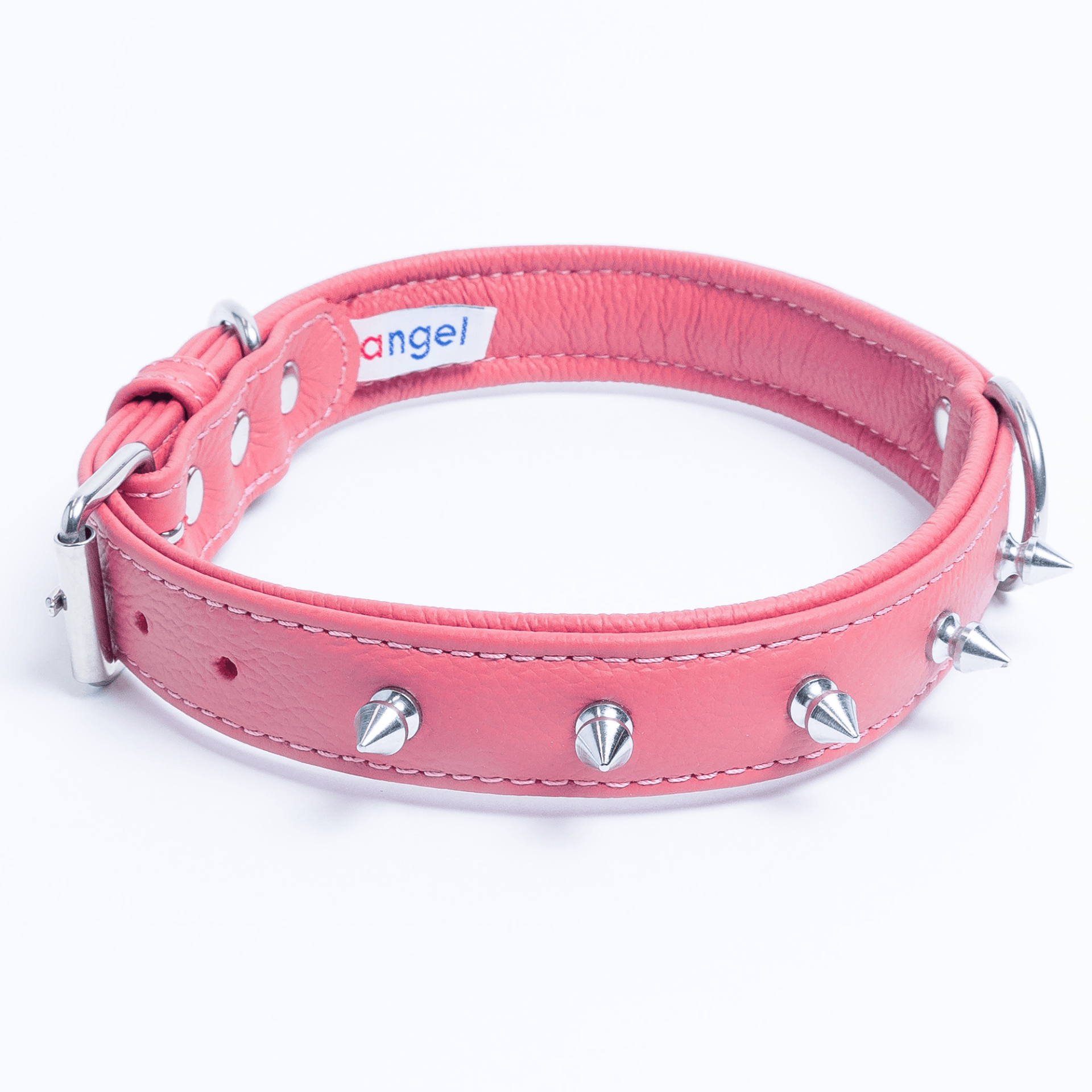 Spiked dog collar