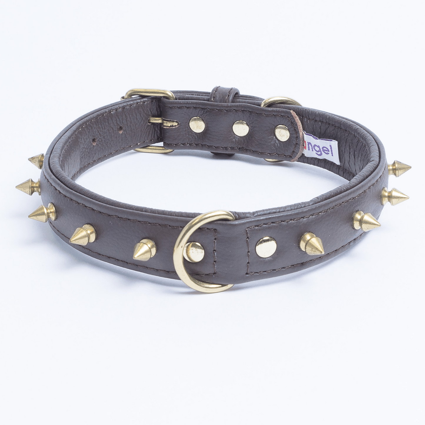 dog collar with spikes