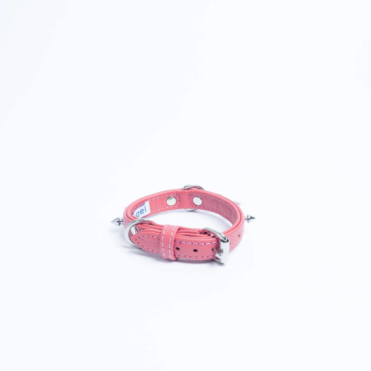 dog collar with spikes