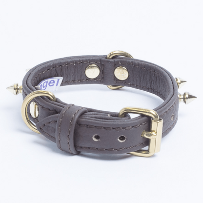 grey dog collar with spikes