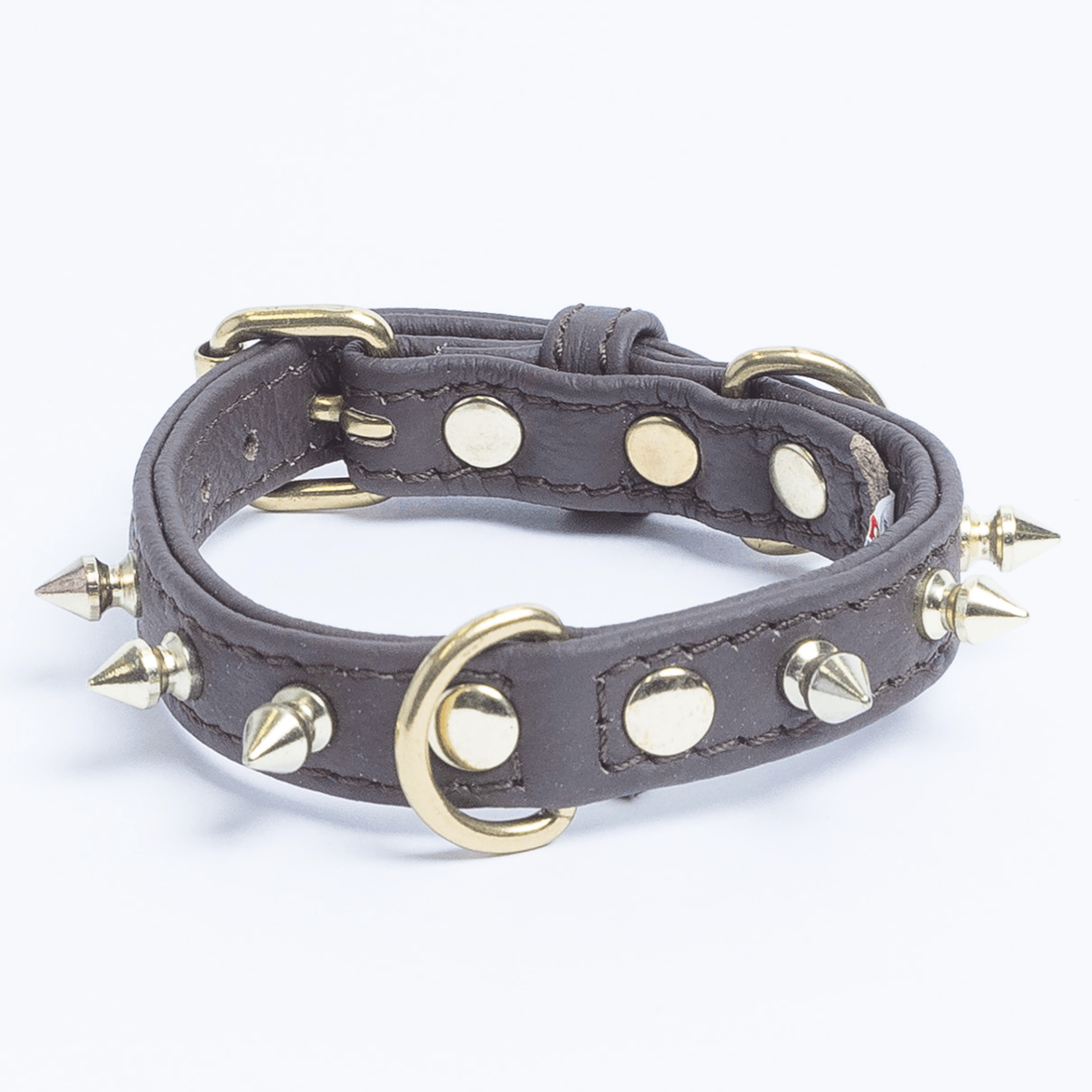 grey dog collar with spikes