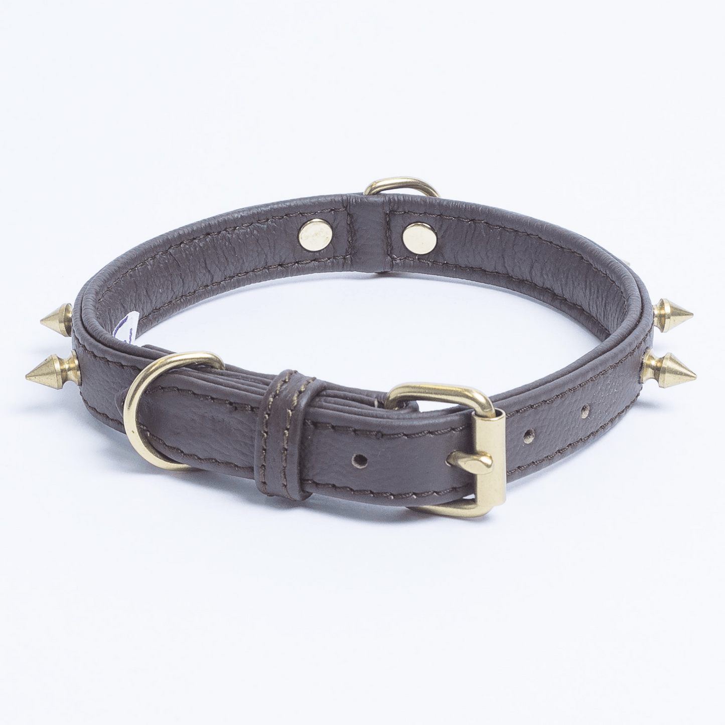 grey dog collar with spikes