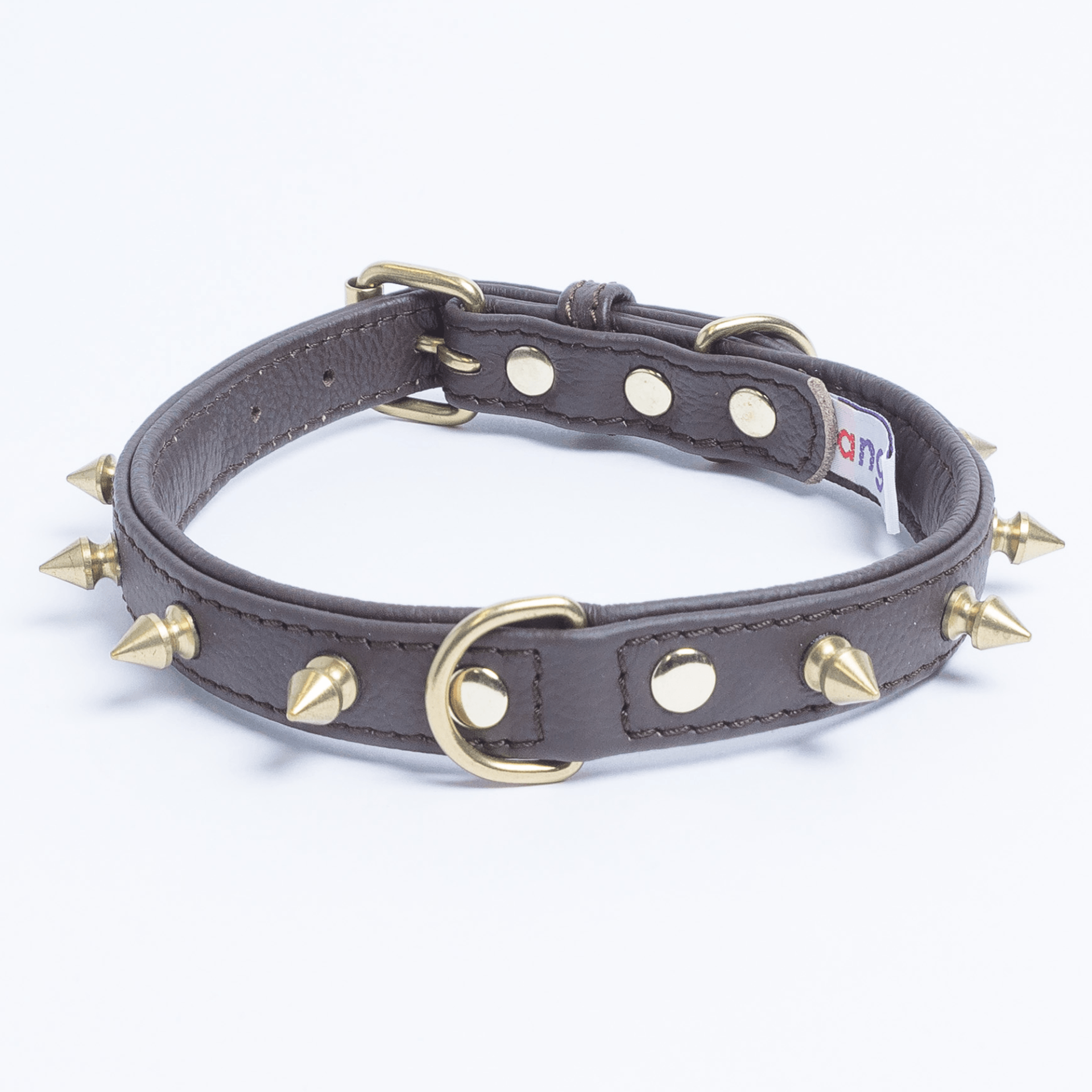 grey dog collar with spikes