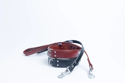 Dallas Traffic leather dog Leash