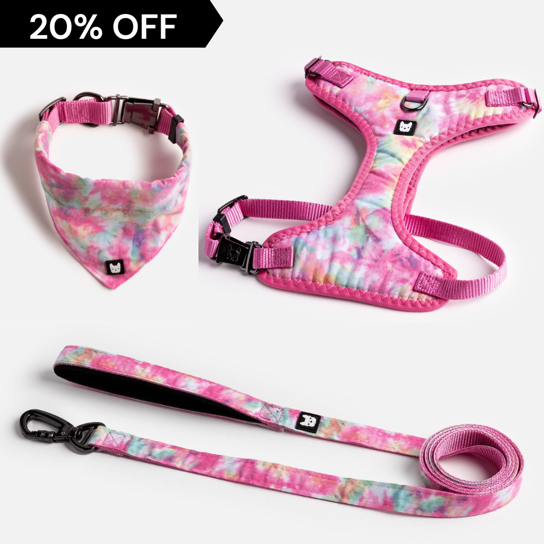 Walkies Bundle - Poplin Pink Tie Dye