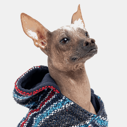 Baja Dog Poncho - Navy