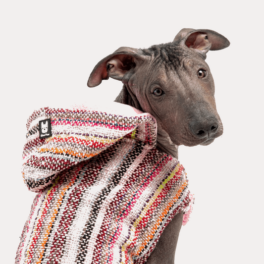 Baja Dog Poncho - Pink