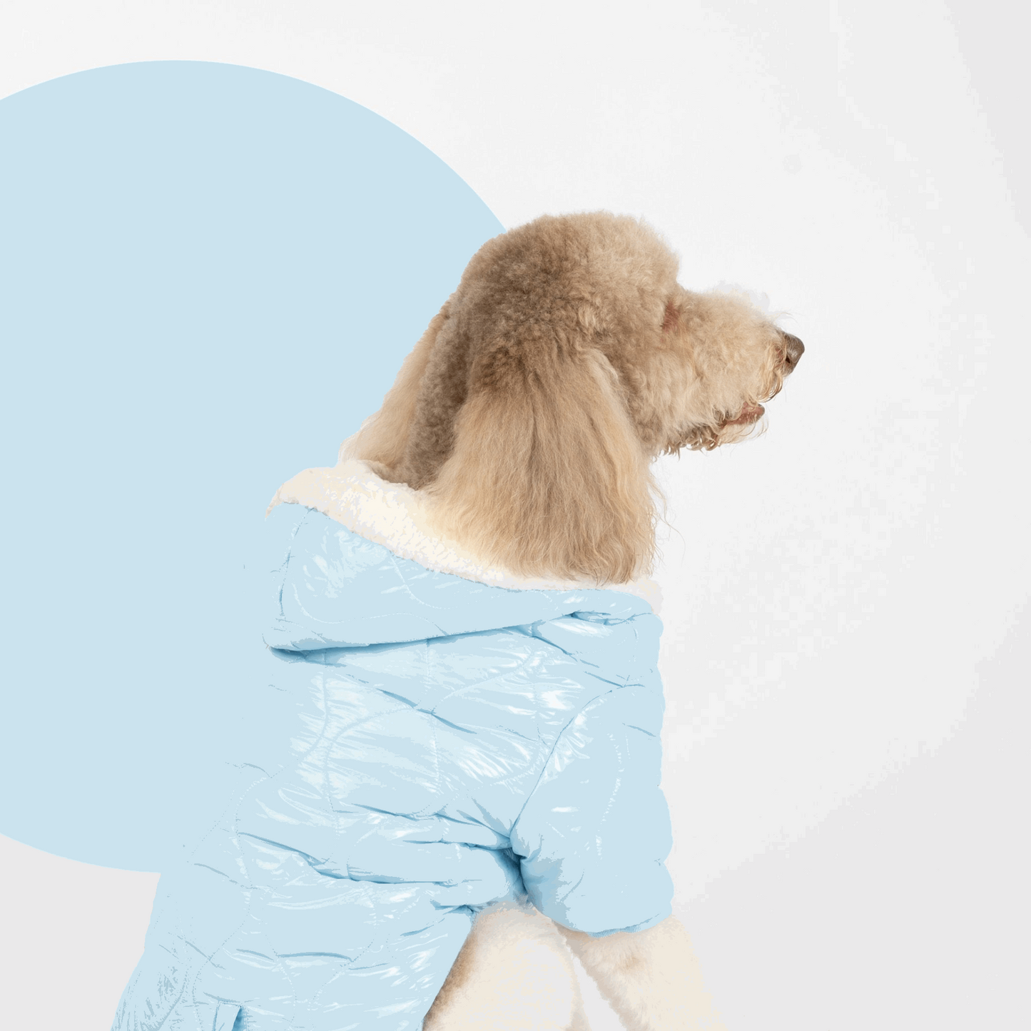 Aspen Dog Jacket