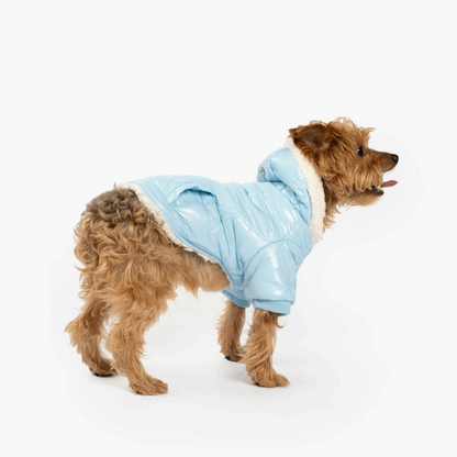 Aspen Dog Jacket