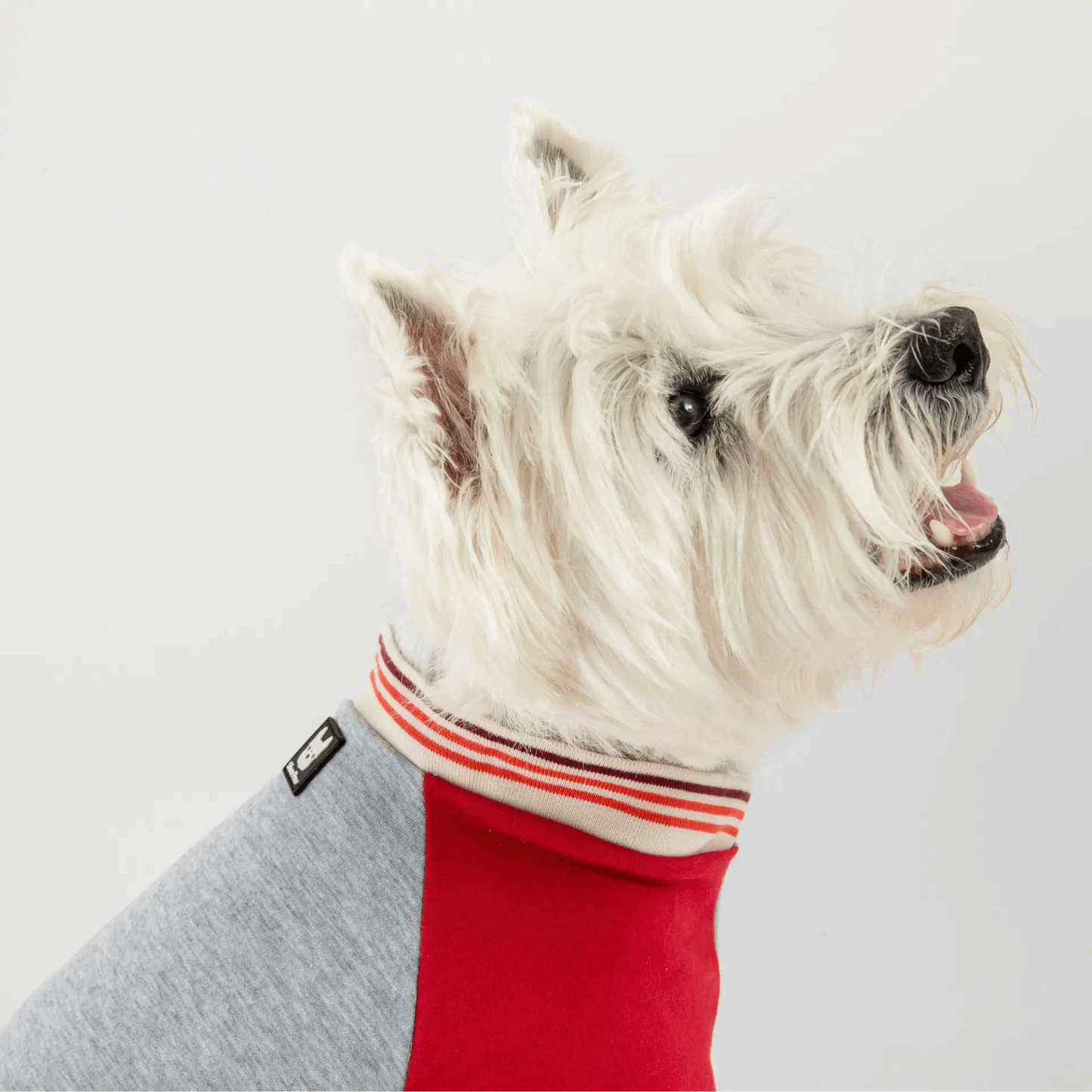 Dog Sweatshirt