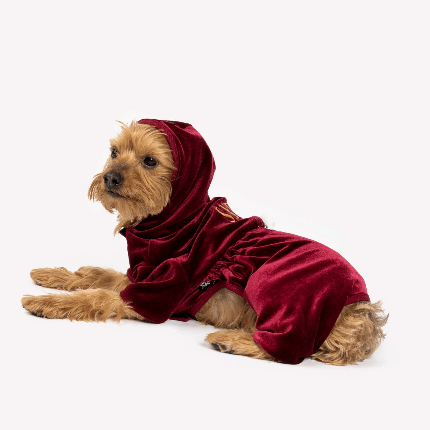 Coco Velour dog pajamas - Wine