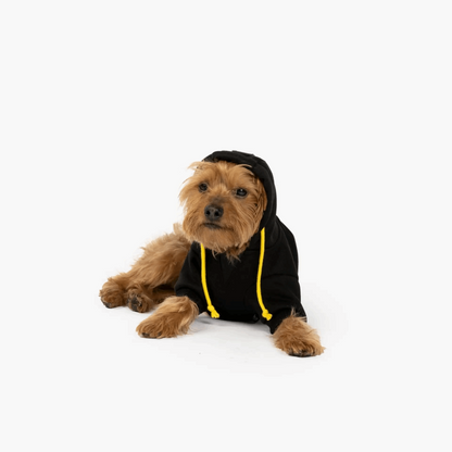 black Dog Hoodie