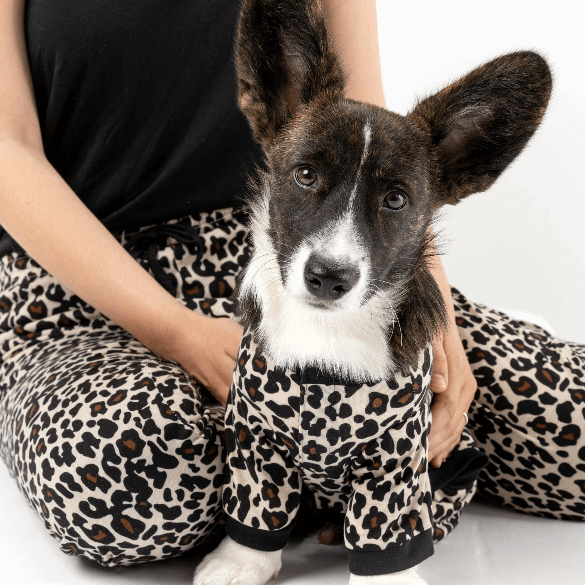 Dog Pajama - Leopard