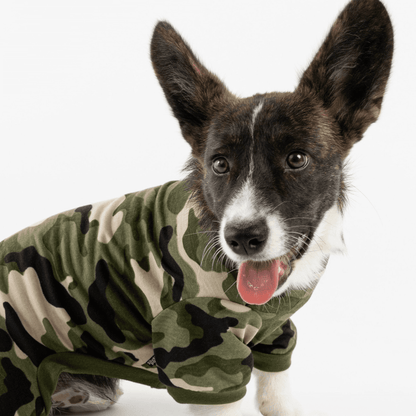 Matching Dog And Owner Pajamas Bundle - Camo