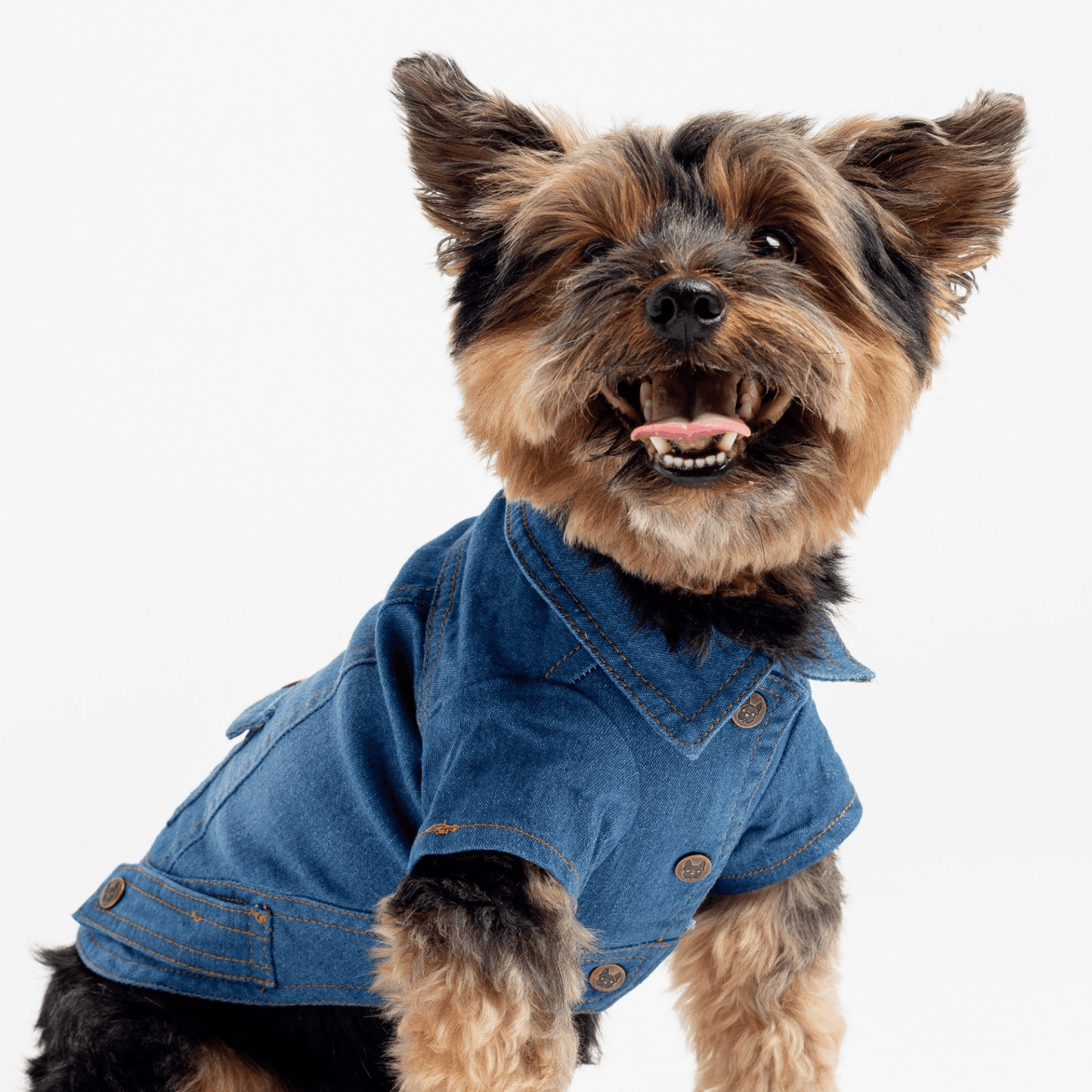 Denim Dog Jacket