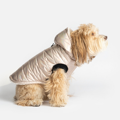 shiny Pink waterproof dog jacket with Sherpa lining