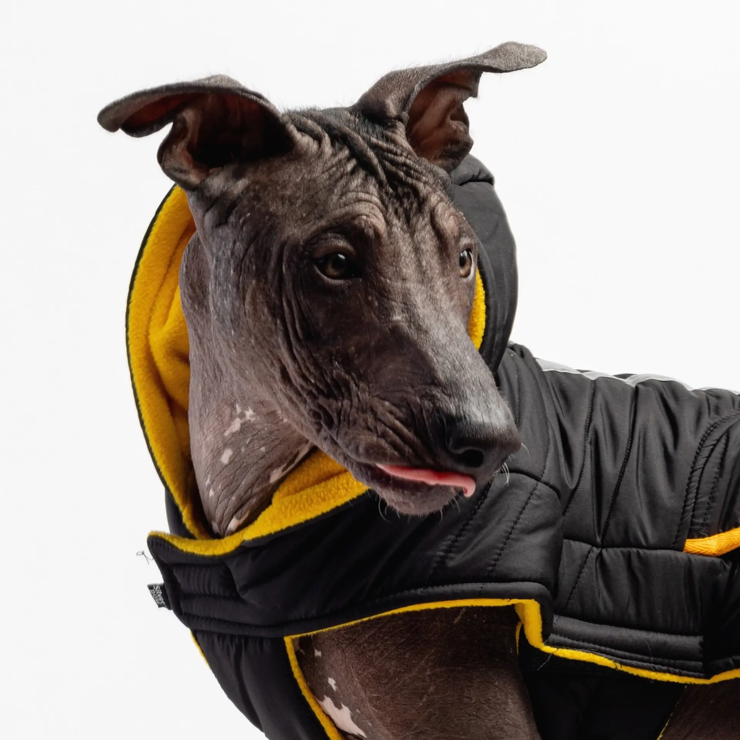  Dog Puffer Jacket