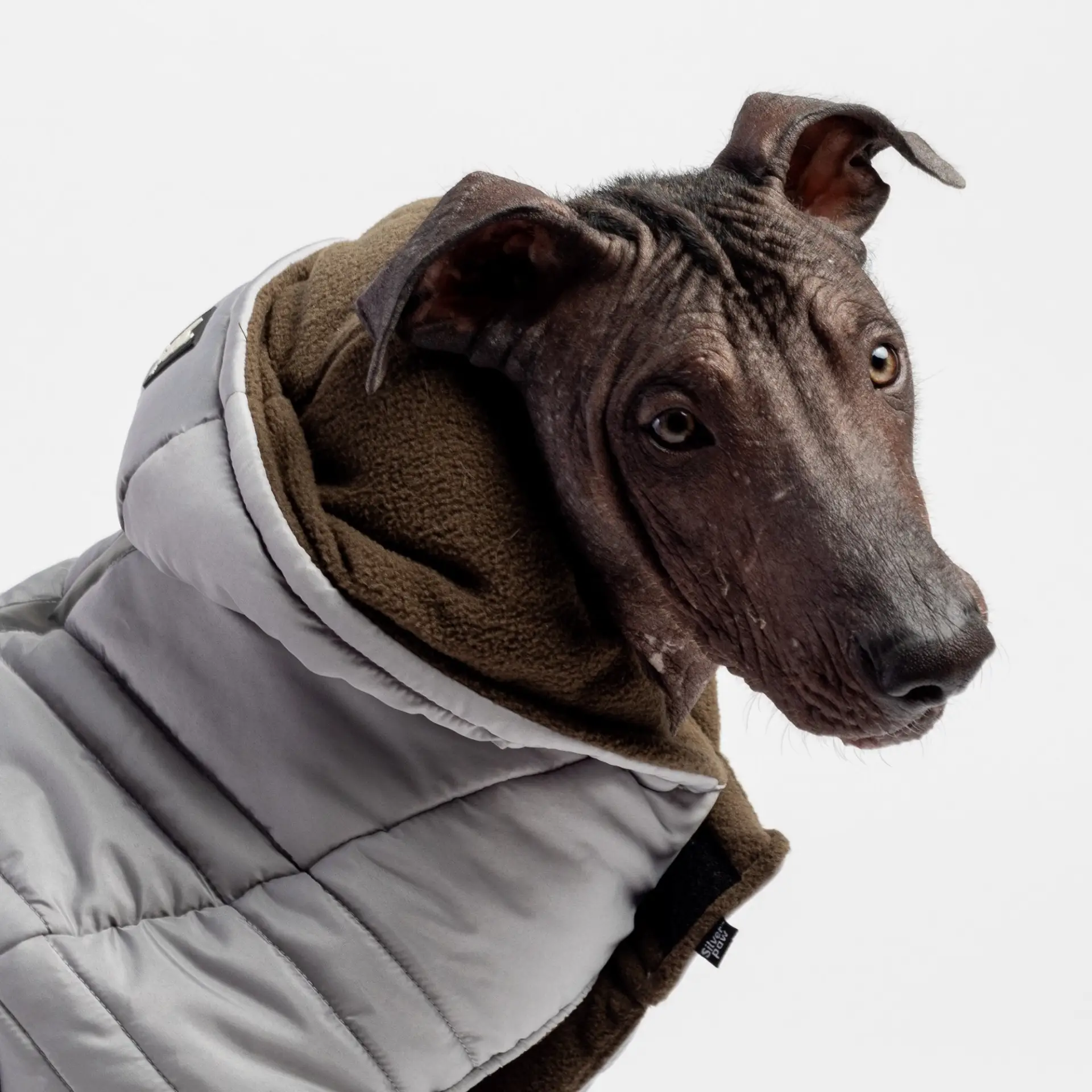  Dog puffer jacket 