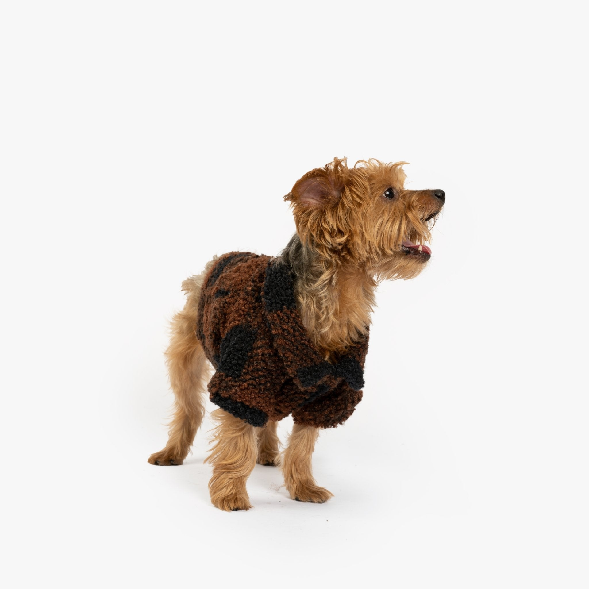 Sherpa Dog Jacket