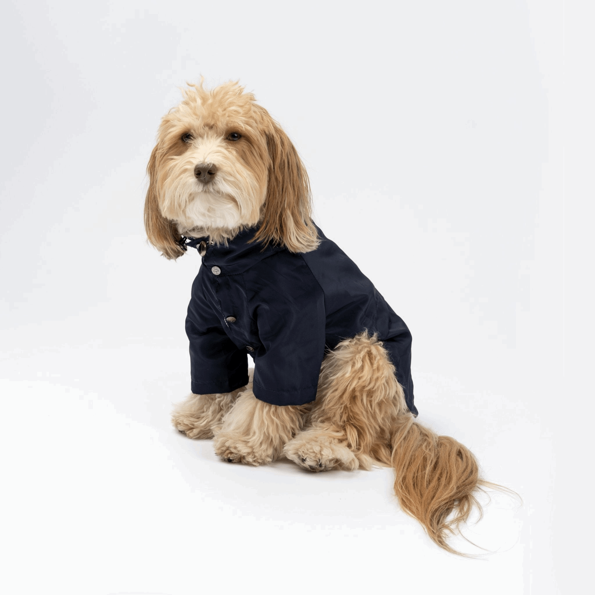 Jean-Paul Dog Raincoat