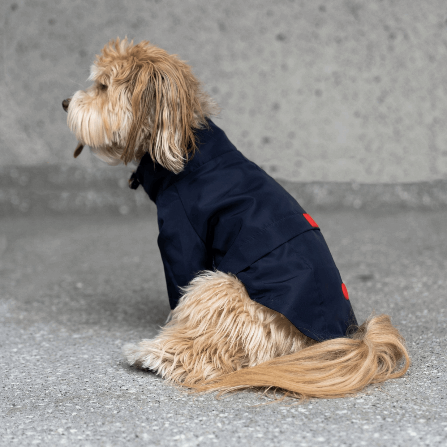 Jean-Paul Dog Raincoat