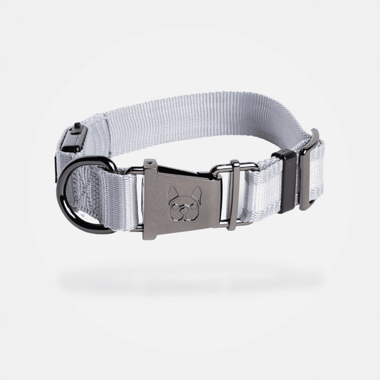 LED Dog Collar - Gray