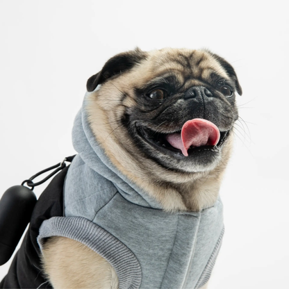 Dog Jacket - Black and grey